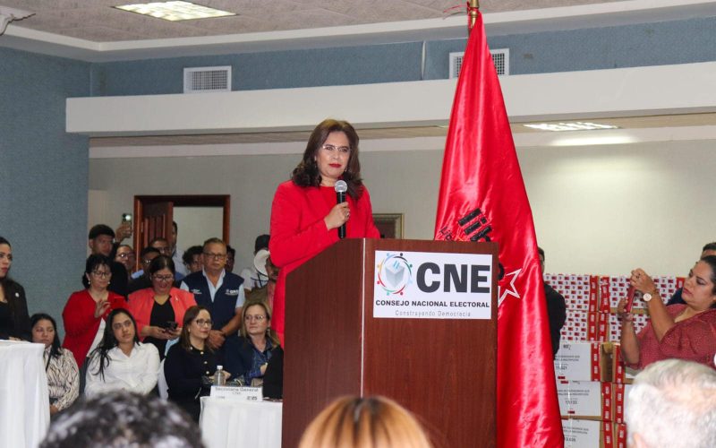 Denuncian sabotaje y presiones al CNE en el proceso hacia las elecciones de 2025
