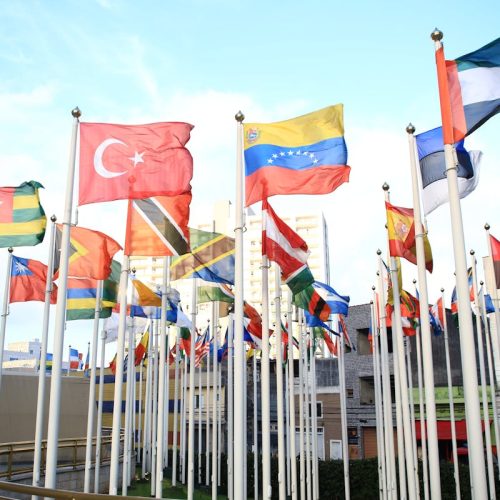 ¿Qué organismos luchan contra la corrupción?