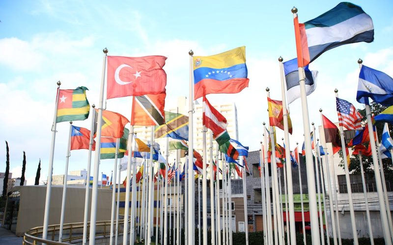 ¿Qué organismos luchan contra la corrupción?